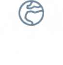 gallery/elements progelek (2)